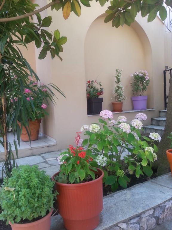 Maria Studios Skiathos Exterior photo