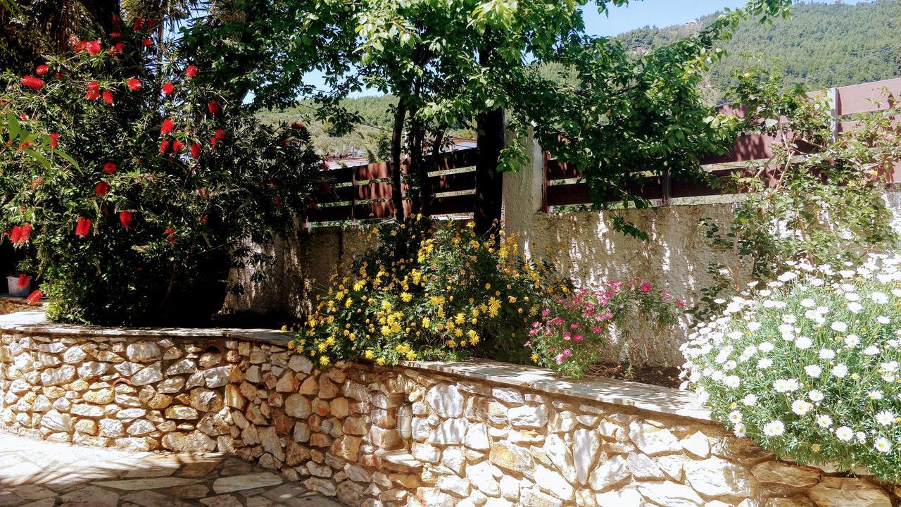 Maria Studios Skiathos Exterior photo