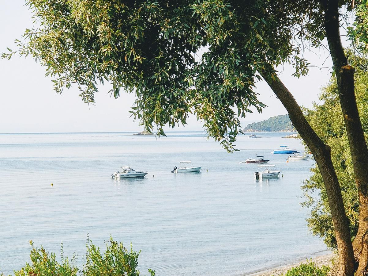 Maria Studios Skiathos Exterior photo