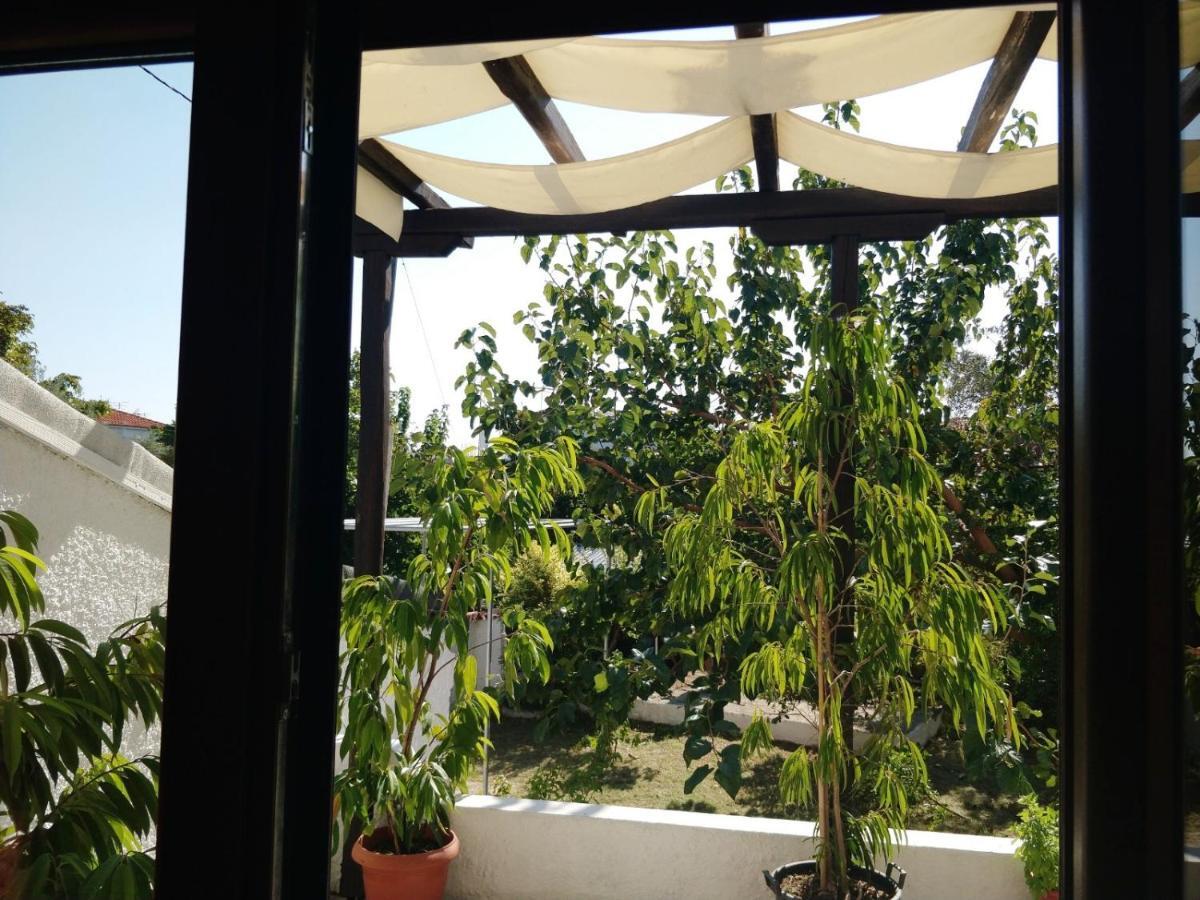 Maria Studios Skiathos Exterior photo